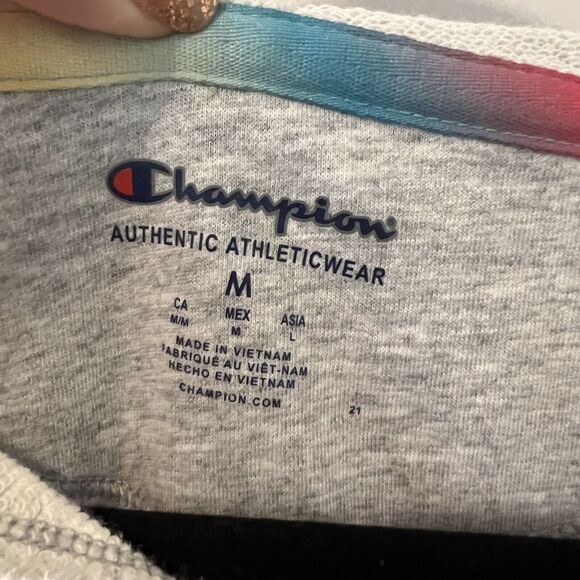 Champion Womens Cropped Gray Hoodie Sweatshirt Rainbow Size Medium - Picture 4 of 9